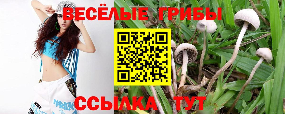 Псилоцибиновые грибы GOLDEN TEACHER  Вход с VPN  купить   Ялта  Галлюциногенные грибы прущие грибы 